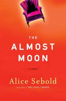 The Almost Moon Read online