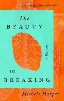 The Beauty in Breaking