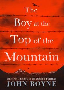 The Boy at the Top of the Mountain Read online