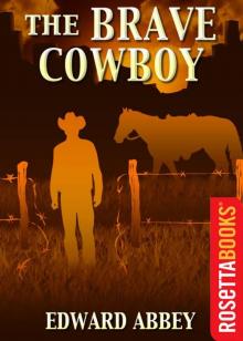 The Brave Cowboy Read online