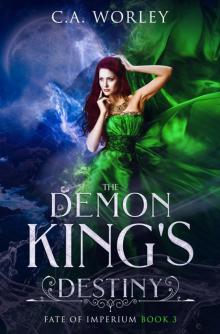 The Demon King's Destiny Read online