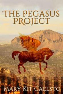 The Pegasus Project: A Musimagium Story (The Pegasus Enchantment Book 1)