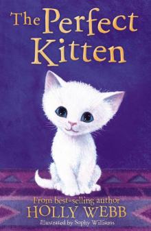The Perfect Kitten Read online