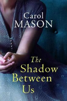 The Shadow Between Us Read online