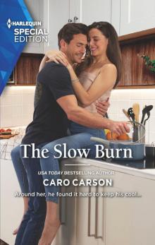 The Slow Burn Read online