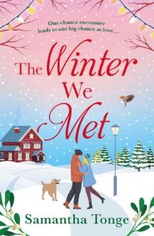 The Winter We Met Read online