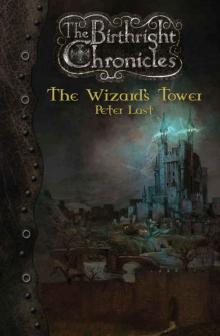 The Wizard's Tower 02 Read online