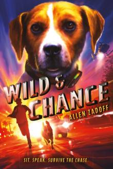 Wild & Chance Read online