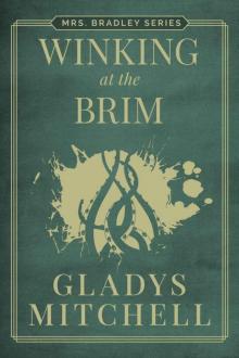 Winking at the Brim (Mrs. Bradley) Read online