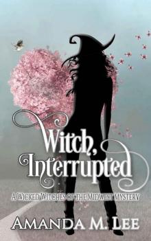Witch, Interrupted Read online