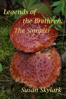 Legends of the Brethren: The Sampler Read online