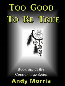 Too Good To Be True - Book Six of the Connor True Series
