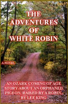 The Adventures of White Robin Read online