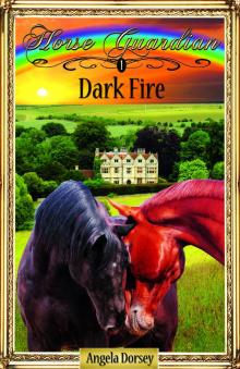 Dark Fire Read online