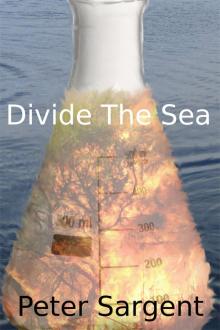 Divide The Sea Read online