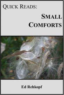 Quick Reads: Small Comforts Read online