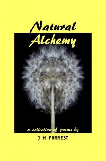 Natural Alchemy Read online