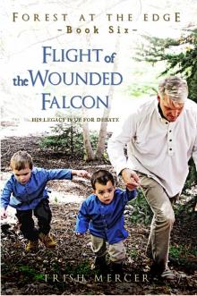 Flight of the Wounded Falcon Read online