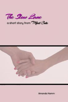 The Slow Lane: A Short Story From Meet Cute Read online