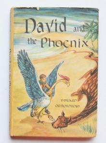 David and the Phoenix Read online
