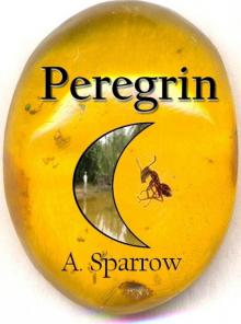 Peregrin Read online