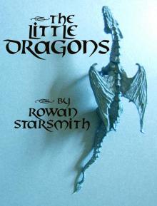 The Little Dragons Read online