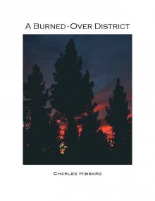 A Burned-Over District Read online