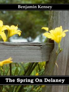 The Spring On Delaney Read online