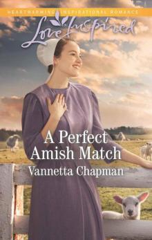A Perfect Amish Match (Indiana Amish Brides Book 3) Read online
