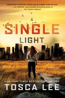 A Single Light Read online