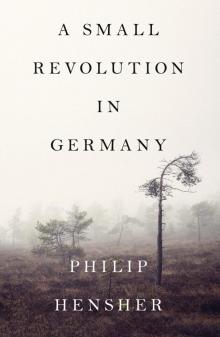 A Small Revolution in Germany Read online