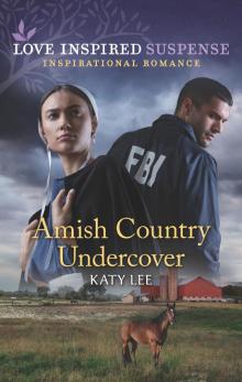 Amish Country Undercover Read online