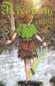 Arcanum: An Irish Mystery Read online