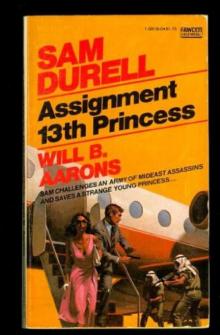 Assignment- 13th Princess Read online