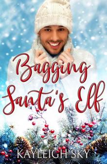 Bagging Santa's Elf Read online