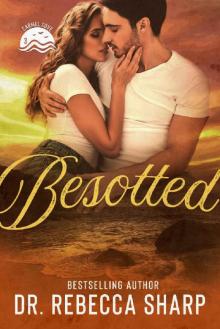 Besotted: An Enemies-to-Lovers Small-town Romance (Carmel Cove Book 3) Read online