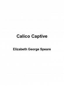 Calico Captive