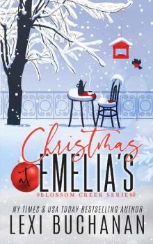 Christmas at Emelia's: Blossom Creek Novella Read online