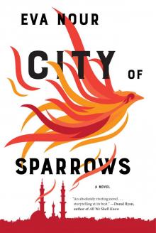 City of Sparrows