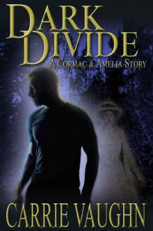 Dark Divide: A Cormac and Amelia Story Read online