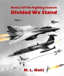 Divided We Stand (The Fighting Tomcats Book 2)