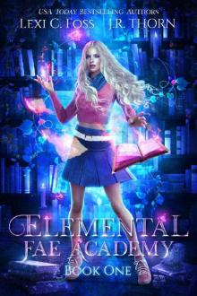 Elemental Fae Academy: Book One Read online