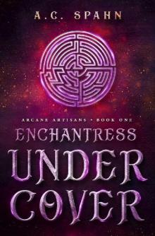 Enchantress Undercover Read online