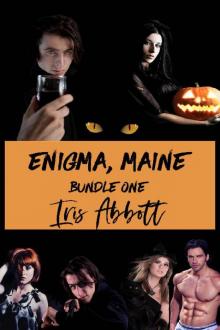 Enigma, Maine, Bundle 1 Read online
