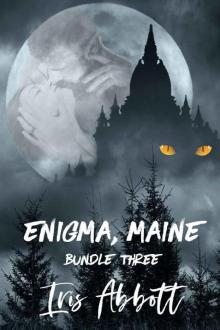Enigma, Maine, Bundle Three Read online