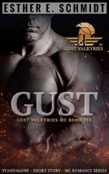 Gust: Lost Valkyries MC Read online