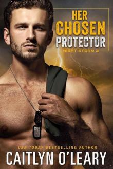 Her Chosen Protector: Navy SEAL Romance (Night Storm Book 3) Read online