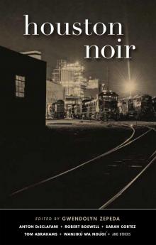 Houston Noir Read online