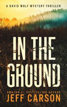 In the Ground (David Wolf Book 14) Read online