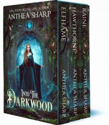 Into the Darkwood: A Dark Elf Fantasy Romance Trilogy (The Darkwood Chronicles) Read online